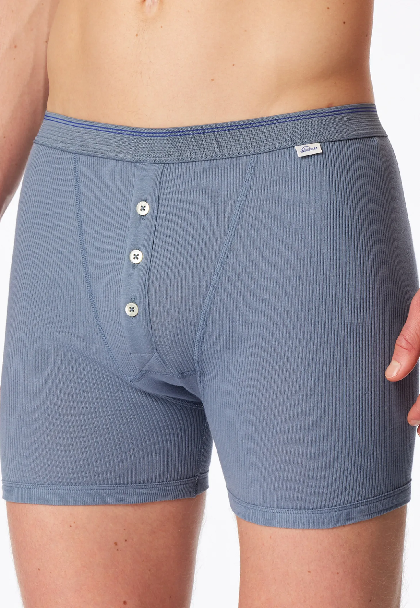 Shorts blaugrau - Revival Friedrich