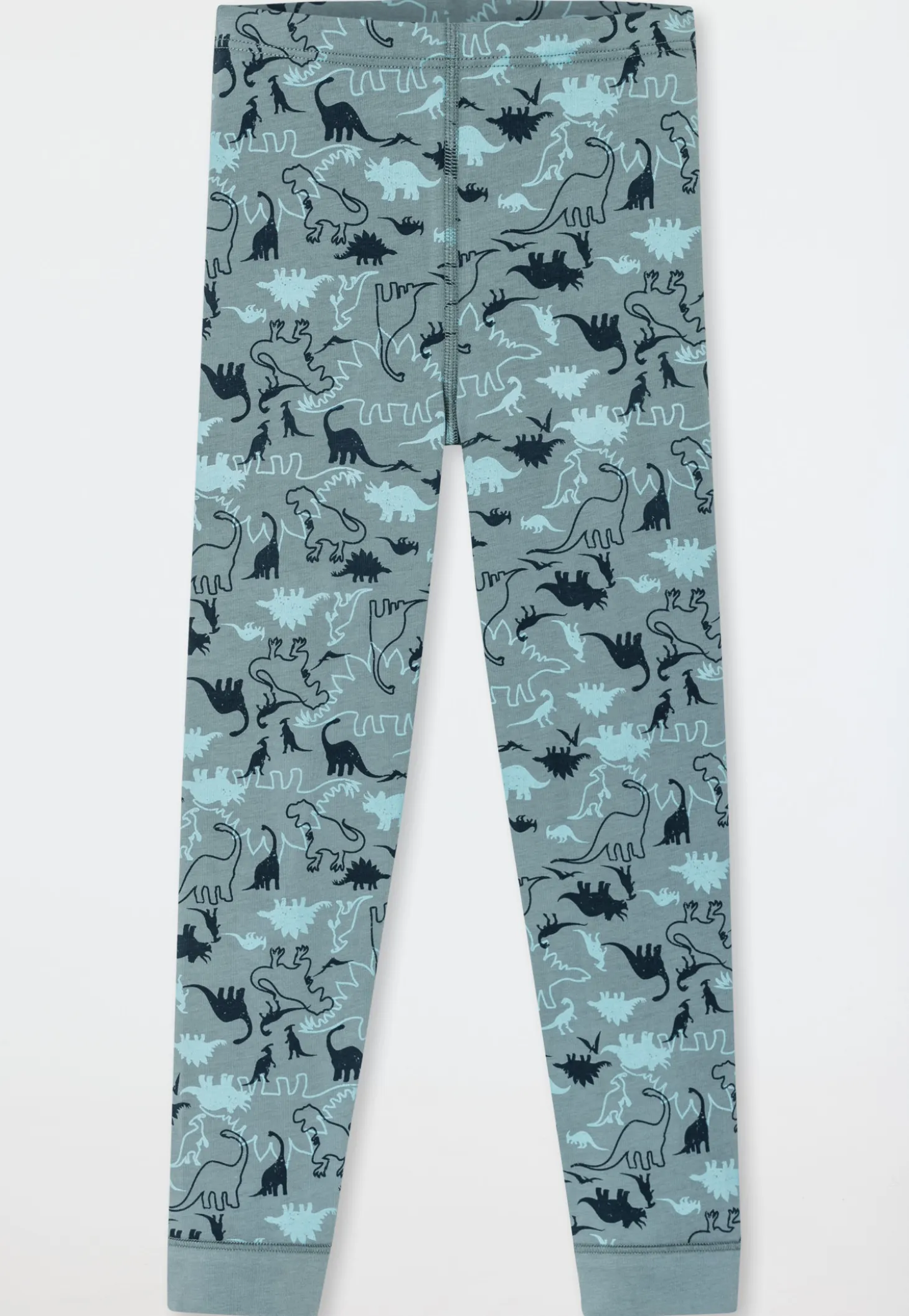 Unterhose lang 2er-Pack Organic Cotton Dinos blau/ grün - 95/5
